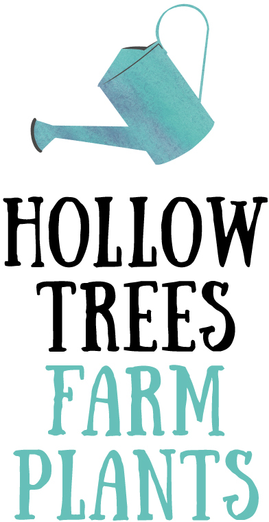 https://www.hollowtrees.co.uk/wp-content/uploads/2016/08/farm-plants.jpg